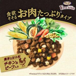グラン・デリ Frecious アダルト成犬用...の詳細画像1