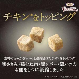 グラン・デリ Frecious アダルト成犬用...の詳細画像3