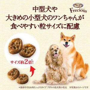 グラン・デリ Frecious アダルト成犬用...の詳細画像4