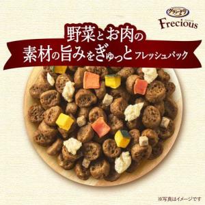 グラン・デリ Frecious アダルト成犬用...の詳細画像5