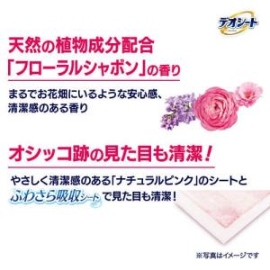 デオシート 消臭&フレグランス フローラルシャ...の詳細画像3