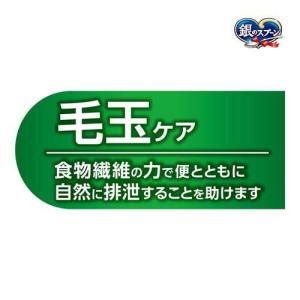 銀のスプーン 三ツ星グルメ しみ旨お魚仕立て ...の詳細画像3