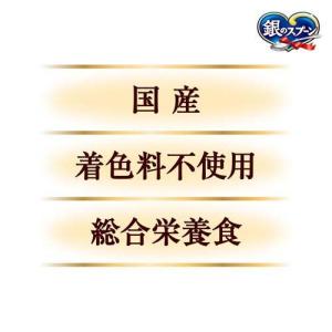 銀のスプーン 三ツ星グルメ しみ旨お魚仕立て ...の詳細画像5