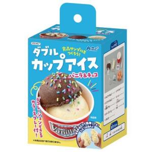 食品サンプルをつくろう！ダブルカップアイス ( 1個 )｜soukai