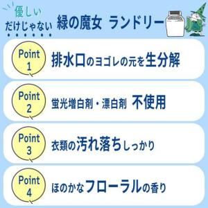 緑の魔女 ランドリー 業務用 ( 5L*3コセ...の詳細画像3