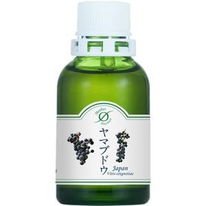 ホメオパシージャパン マザーチンクチャー クエカス 大 ( 100ml )/ HJ