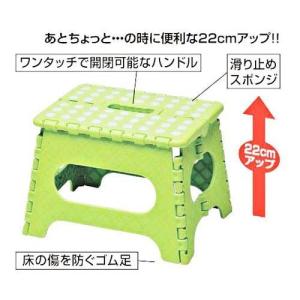 トレードワン セノ・ビーLITE 22cm グ...の詳細画像1