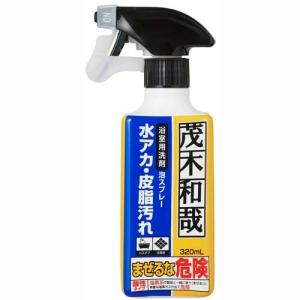 LEC（レック） 洗剤 茂木和哉 おふろのなまはげ 水アカ・皮脂汚れ用