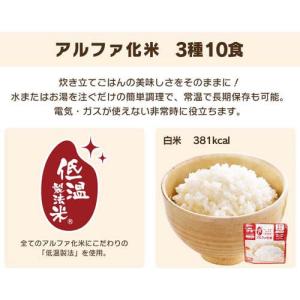 防災食 8種28食 3日分 ごはんおかずセット...の詳細画像4