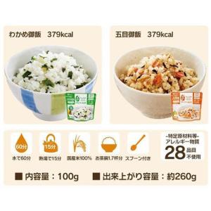 防災食 8種28食 3日分 ごはんおかずセット...の詳細画像5