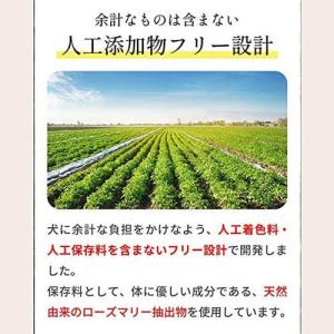 ミシュワン フェイヴワン 全犬種用ドッグフード...の詳細画像1