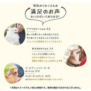 ミシュワン フェイヴワン 全犬種用ドッグフード...の詳細画像4
