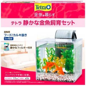 テトラ おさかな飼育 静かなセット PL-17SF ( 1個 )/ Tetra(テトラ