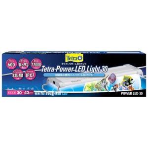 テトラ パワーLEDライト 60 ( 1個 )/ Tetra(テトラ) : 爽快ドラッグ
