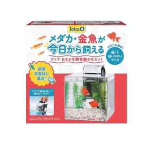 テトラ 静かなメダカ飼育セット SF-17KF ( 1個 )/ Tetra(テトラ