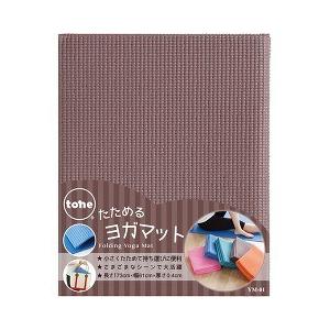 DANSKIN（ダンスキン） ヨガマット 5mm センターライン付き YOGA MAT