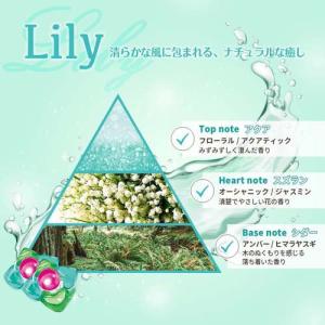 アフューム リリー ボール型洗濯洗剤 ユリ&ア...の詳細画像3