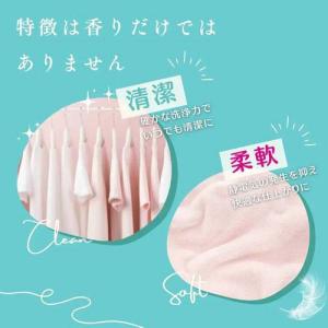 アフューム リリー ボール型洗濯洗剤 ユリ&ア...の詳細画像4