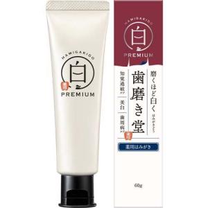 歯磨き堂 ホワイトシャイン ペースト30g | 歯磨き粉 ハミガキ