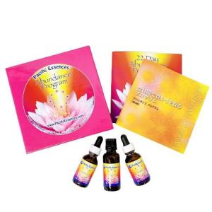 ヒマラヤン フラワー エンハンサーズ エクスタシー ( 15ml )/ : 爽快