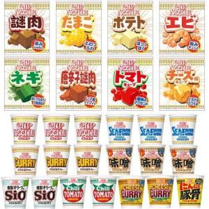 おまけ付人気カップヌードルアソート19食 + 8種の追い具材セット / カップヌードル