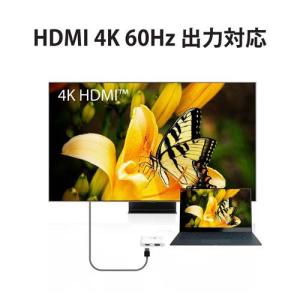 USB-C デュアル VGA & HD...の詳細画像5