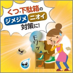 備長炭ドライペット 除湿剤 下駄箱用 ( 1コ入 )/ 備長炭ドライペット｜soukai