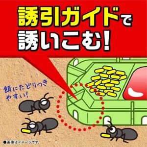スーパーアリの巣コロリ アリ駆除剤 置き型 殺...の詳細画像4