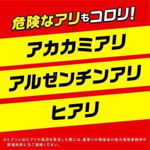 スーパーアリの巣コロリ アリ駆除剤 置き型 殺...の詳細画像5
