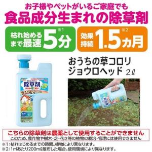 アースガーデン みんなにやさしい除草剤 おうち...の詳細画像1