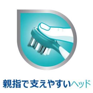 ポリデント 部分入れ歯・マウスピース専用ブラシ...の詳細画像1