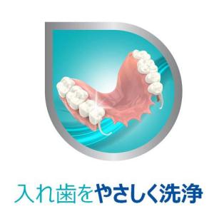 ポリデント 部分入れ歯・マウスピース専用ブラシ...の詳細画像2
