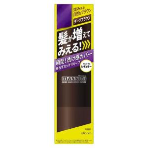 資生堂 アウスレーゼ ボリュームセット ムース N ( 180g