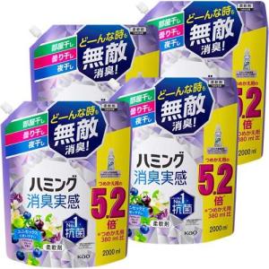 ハミング 消臭実感 柔軟剤 アクアティックフルーツ つめかえ用 メガサイズ 梱販売用 ( 2000ml*4袋入 )/ ハミング｜soukai