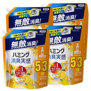ハミング消臭実感 オレンジ＆フラワーの香り スパウトパウチ 梱販売 ( 2000ml×4個 )/ ハミング｜soukai