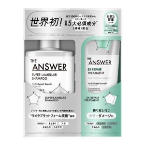 Kao（花王） ゆうパケットで送料330円 THE ANSWER DAILY ピロー 28g