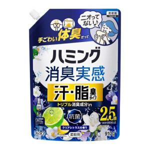 ハミング消臭実感 汗・脂臭タイプ クリアシトラス...の商品画像