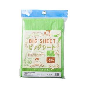 アサヒ興洋 レジャーシート マリンボーダー柄 厚手 2〜3人用 90*180cm