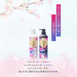 いち髪 なめらかスムースケア トリートメント ...の詳細画像2