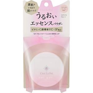 ポイントマジックPRO プレストパウダー C 00 ( 6g )/ ポイントマジック