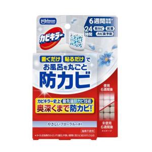ダイヤモンドパッドSプラス 最強研磨素材 浴室の鏡・ガラス用 : 金太郎