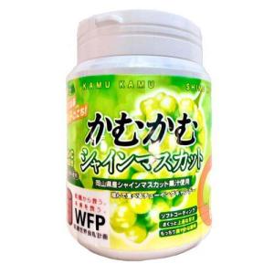 リカルデント フルーツアソートガム アップル＆ピーチボトル ( 135.2g