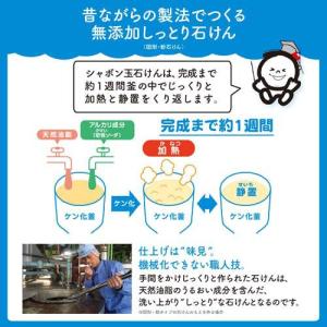 シャボン玉 スノール 液体タイプ ( 5L )...の詳細画像4