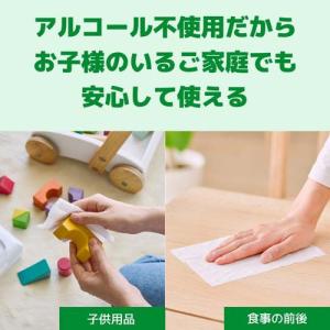 エリエール 除菌できるノンアルコールタオル ボ...の詳細画像2