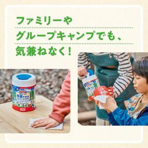 エリエール 枚数たっぷり除菌アルコールタオル ...の詳細画像1