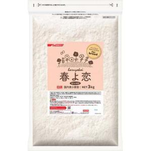 桜井食品 岩手県産強力粉 ゆきちから ( 500g )/ 製パン用小麦 強力粉