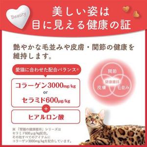 ビューティープロ キャット ダブルケア 腸内・...の詳細画像4
