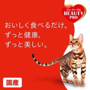 ビューティープロ キャット ダブルケア 腸内・...の詳細画像5