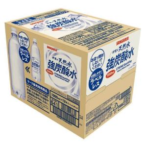 伊賀の天然水強炭酸水(ラベルレス) ( 1000ml×12本 )/ サンガリア