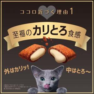 シーバ デュオ 12ヶ月までの子ねこ用 クリー...の詳細画像2